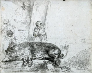 Le cochon
